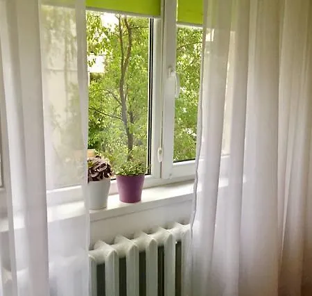 Cipariu * Cluj-Napoca