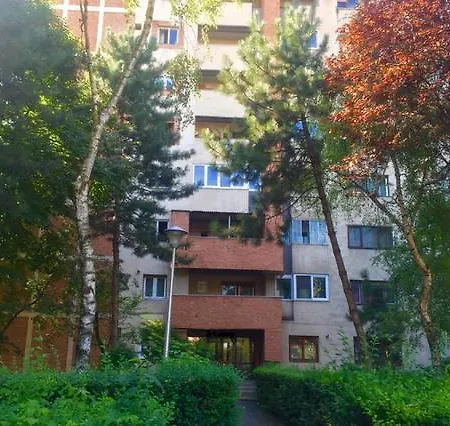 Cipariu * Cluj-Napoca
